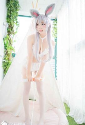 电视剧午夜蝴蝶免费观看全集_HD在线观看完整版