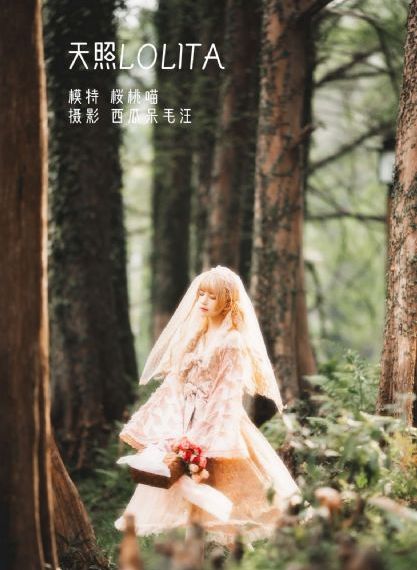 同志亦凡人_超清在线观看