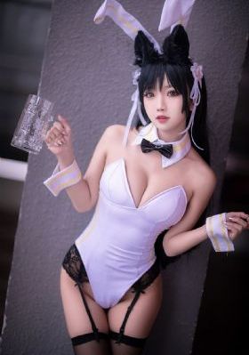 野玫瑰电视剧在线观看完整版_在线电影免费观看